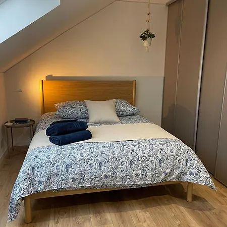 Le Duplex De La Grange Schweighouse-Thann